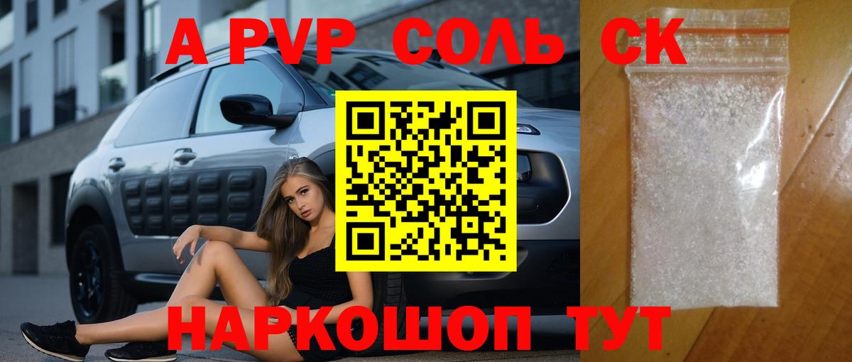 A PVP СК Фрязино