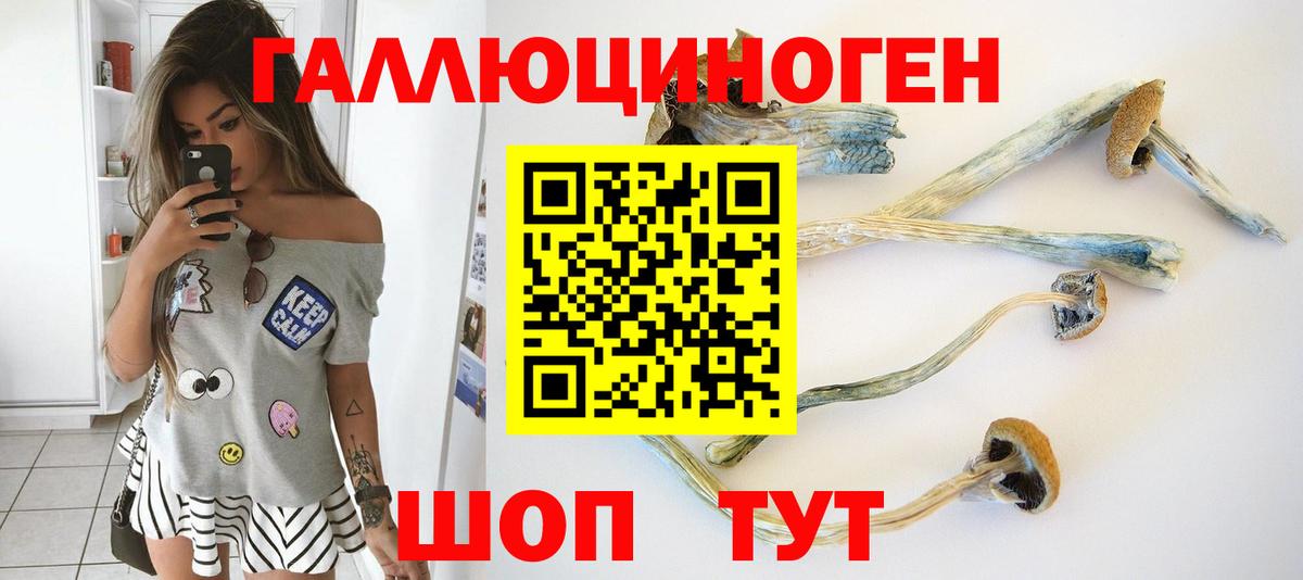 Галлюциногенные грибы GOLDEN TEACHER Фрязино